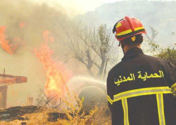 لا بديـــل عـن تشديــد العقوبـــات ضدّ مضرمـي النــيران عمـدا