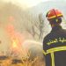 لا بديـــل عـن تشديــد العقوبـــات ضدّ مضرمـي النــيران عمـدا