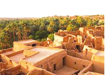 الأسر العلمية برأس الوادي.. مســيرة العلــم والجهـاد