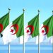 نفـد الصـبر وانتهـى الــدرس وانكشفــت مؤامراتكـم