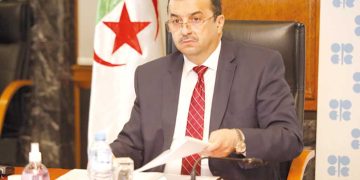 الجزائر-النيجر.. متابعة ميدانية لمشاريع الشراكة
