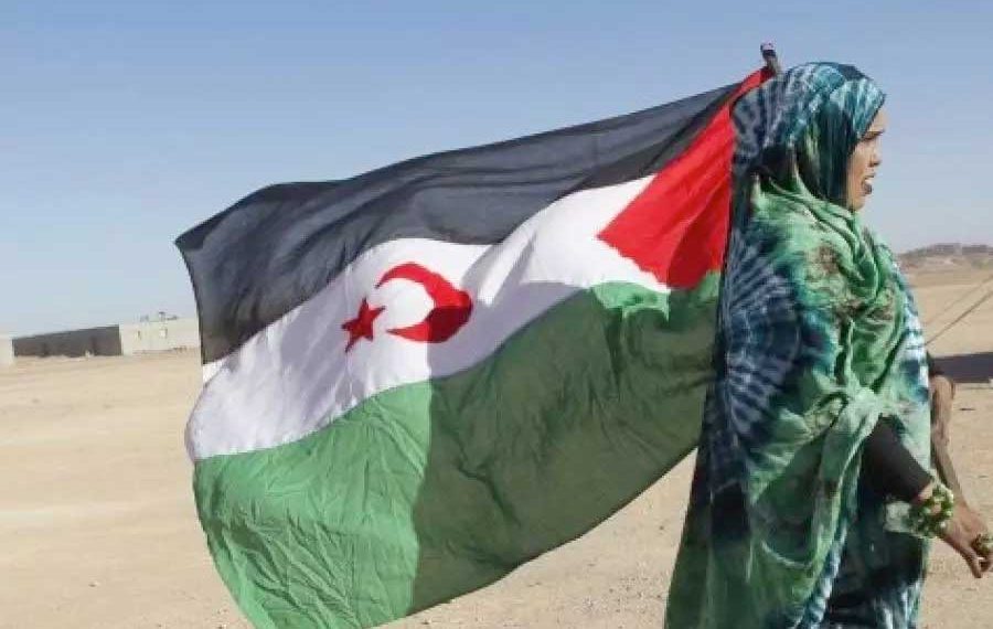الصّحراويّون يعارضون تنظيـم الاحتلال لمسرحيّــته الانتخابيــة على أرضهـم