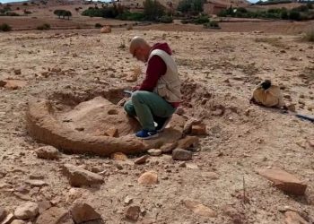 «مينــاء كيـــزة» يــبوح بـأسراره التاريخـــيــة