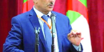 استراتيجيـة تطويـر الأداء المهنــي والرقمـي.. ضرورة قصوى