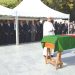 الجزائر تودّع مجاهدا كبيرا وقائدا ألمعياً