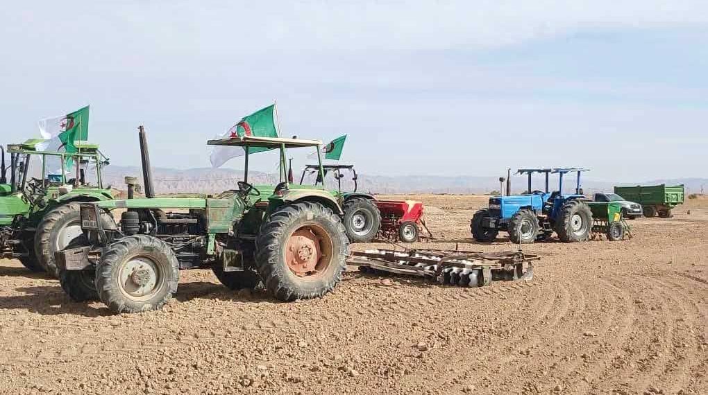 خنشلة تواصل توسيع مساحة زراعة الحبوب