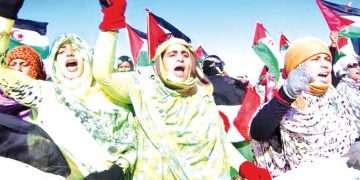ملـف تصفيــة الاستعمار في الصّحراء الغربيـة لم يحسـم بعـد
