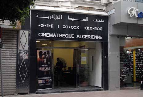 مــن صناعــة الفيلــم إلـى بنــاء الجمهـــور