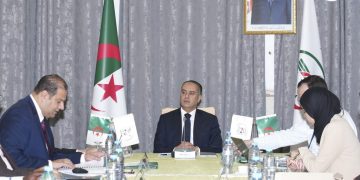 “فاف” تطلق استراتيجية جديدة للمنتخبات القاعدية